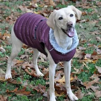 Alpine Extreme Weather Puffer Coat - Burgundy