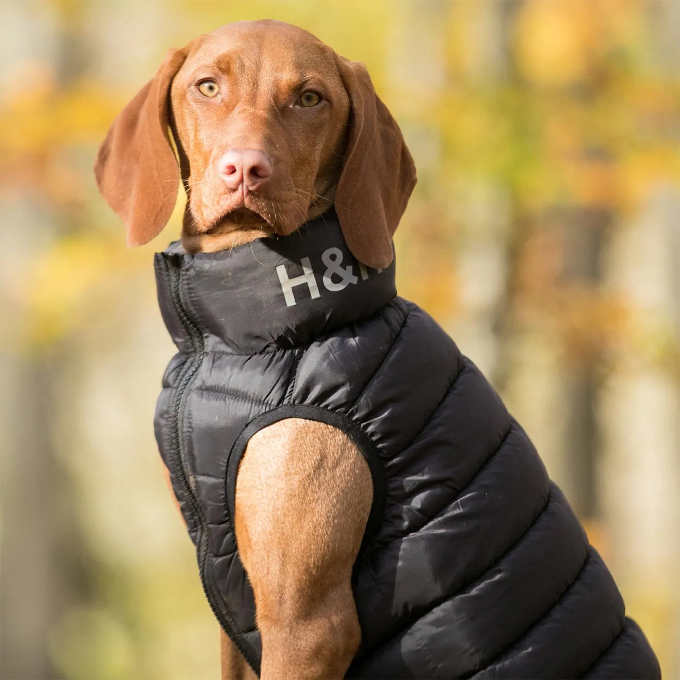 Hugo & Hudson Reversible Black & Grey Puffer Jacket