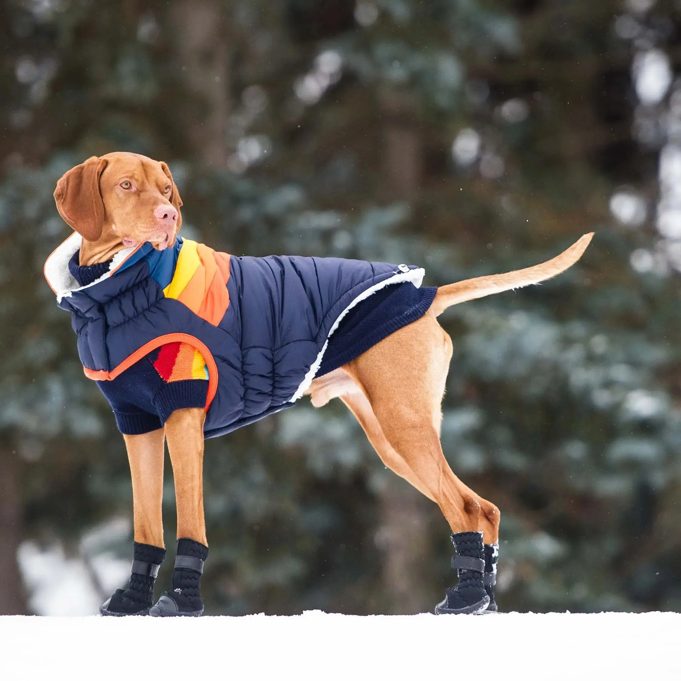 Summit Dog Puffer | Navy